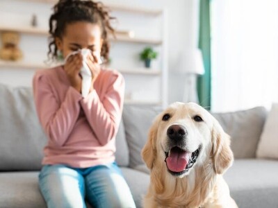 RINITE ALÉRGICA A PELOS DE ANIMAIS