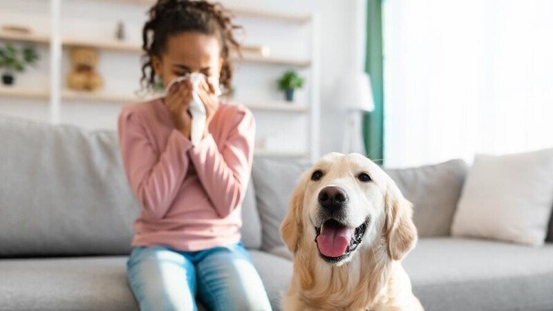 RINITE ALÉRGICA A PELOS DE ANIMAIS